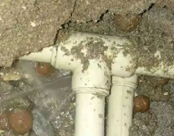 芦淞测漏水多少钱