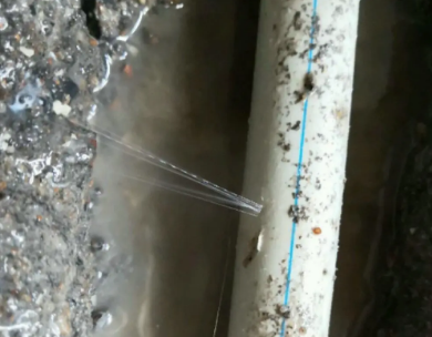 芦淞测漏水哪家好