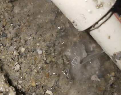 芦淞测漏水电话号码