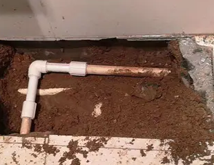 芦淞测漏水哪家好