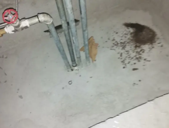 芦淞卫生间测漏水价格明细