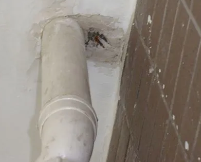 芦淞漏水检测哪家好